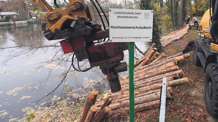 Mehr als 1000 Holzpfähle müssen am Ufer des Deiches am Tonloch Wublitz in den Boden getrieben werden, um die Stabilität zu gewährleisten.