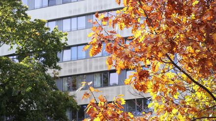 Das Bergmann-Klinikum in Potsdam.