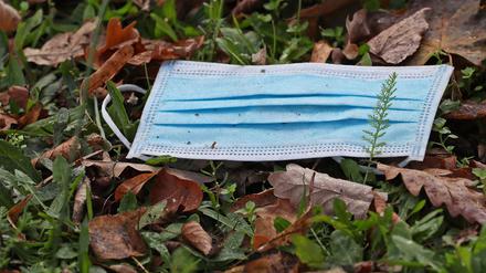 Ein Mund-Nasen-Schutz im Herbstlaub.