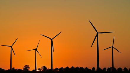 Windräder im brandenburgischen Lebus.