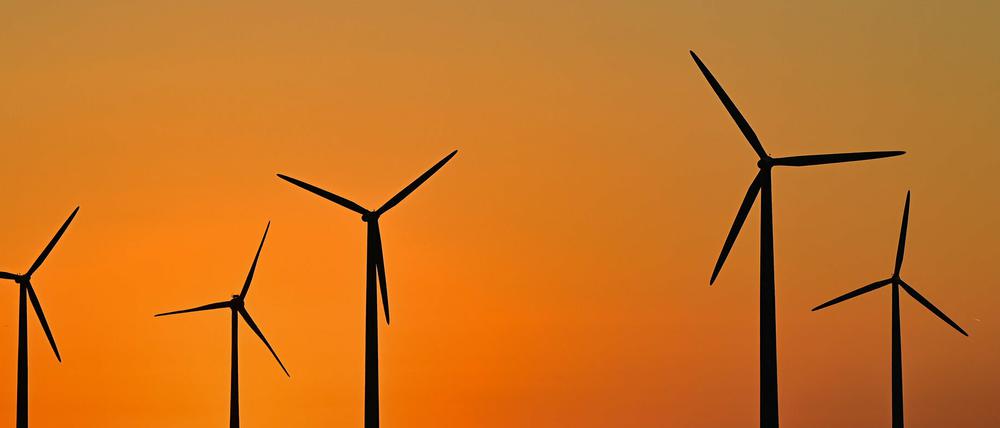 Windräder im brandenburgischen Lebus.
