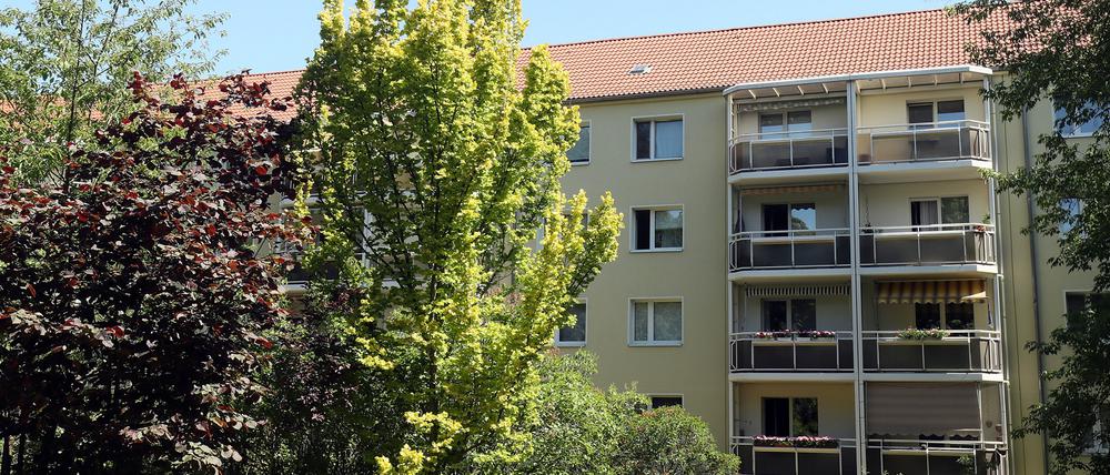 Blick in die Potsdamer Waldstadt.