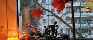 Was ist Ihr Lichtblick in diesem zweiten Corona-Winter? Schreiben Sie uns eine E-Mail an potsdam@pnn.de.