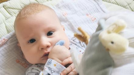 Baby Theo sorgt täglich für viele schöne Momente im Leben von Felix Luderer und seiner Partnerin aus Potsdam.