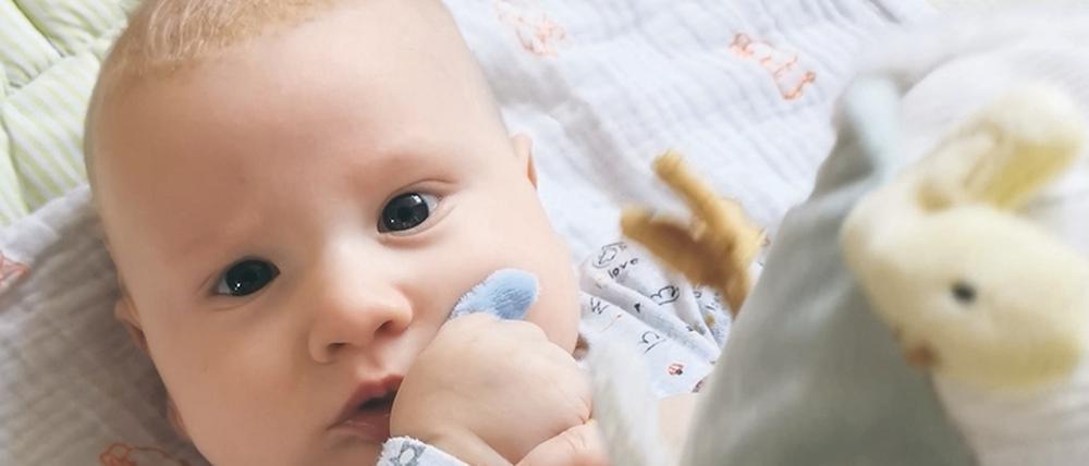 Baby Theo sorgt täglich für viele schöne Momente im Leben von Felix Luderer und seiner Partnerin aus Potsdam. 