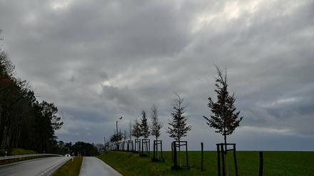 Graue Regenwolken am Brandenburger Himmel.