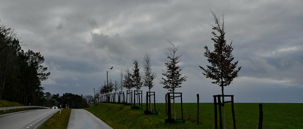 Graue Regenwolken am Brandenburger Himmel.