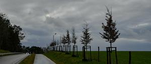Graue Regenwolken am Brandenburger Himmel.