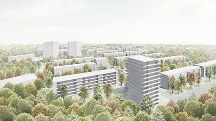 Siegerentwurf beim Architekturwettbewerb Potsdam Waldstadt Zum Kahleberg 28 der Genossenschaft "Karl Marx". Bruno Fioretti Marquez Architekten, Berlin