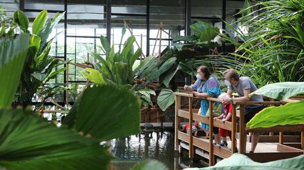 Die Biosphäre wurde im Zuge der Bundesgartenschau 2001 errichtet.