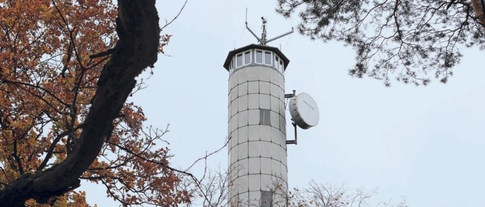 Verlassen steht der 35 Meter hohe Turm im Wald.