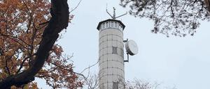 Verlassen steht der 35 Meter hohe Turm im Wald.