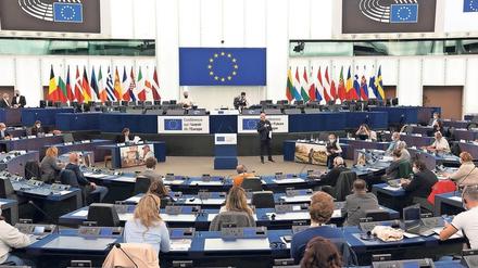 Die Vorschläge der „Konferenz zur Zukunft Europas“ sollen abschließend unter anderem dem Europaparlament vorgelegt werden.
