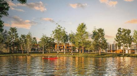 Exklusive Lage. Direkt am Wasser sollen auf der Insel Neu Fahrland Wohnhäuser entstehen. 