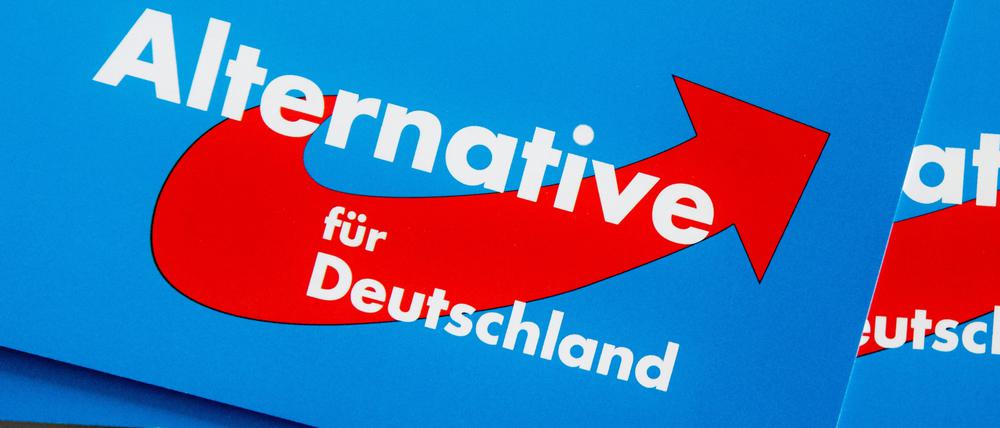 Die AfD sieht sich als Opfer einer politisch motivierten „Blockadehaltung“.