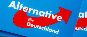 Die AfD sieht sich als Opfer einer politisch motivierten „Blockadehaltung“.