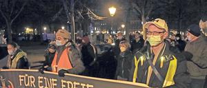 Zur Demo gegen eine Impfpflicht kamen Hunderte. 