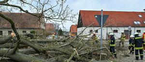 Heftige Böen ließen zahlreiche Bäume in Brandenburg umstürzen.