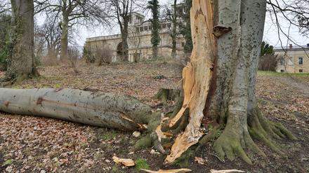 In Parks der Schlösserstiftung stürzten viele Bäume um oder wurden entwurzelt.