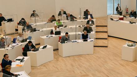 Im Landtag fand sich keine Mehrheit für den Antrag.