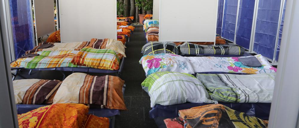 In Potsdam werden Geflüchtete übergangsweise unter anderem in der Orangerie der Biosphäre untergebracht.