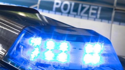 Bei der Suche nach der Vermissten setzte die Polizei auch Mantrailer-Hunde ein.