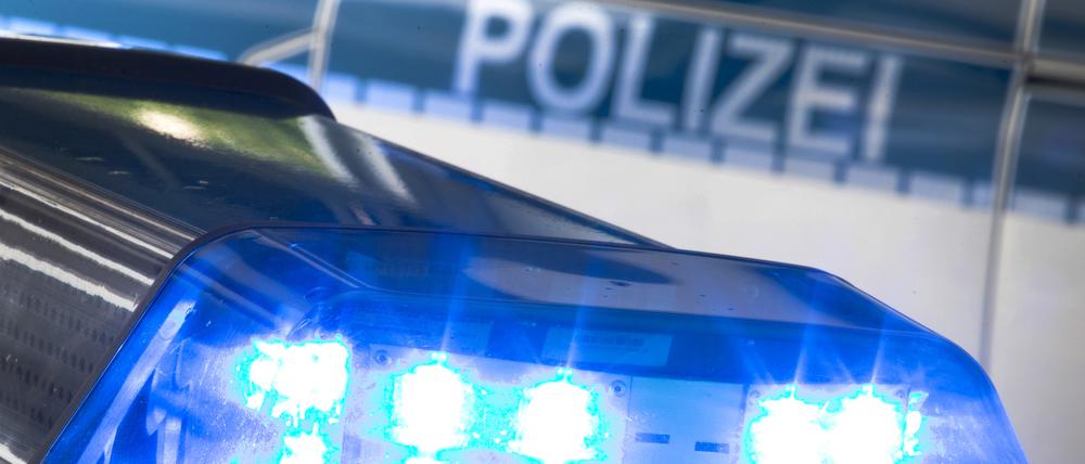 Bei der Suche nach der Vermissten setzte die Polizei auch Mantrailer-Hunde ein.