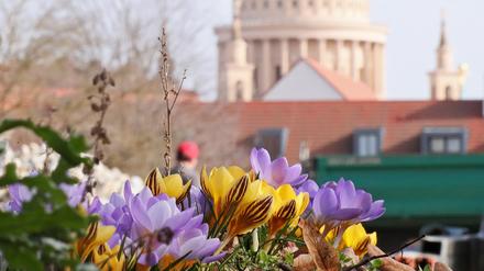 Während in Potsdam endlich der Frühling einkehrt, herrscht in der Ukraine bitterer Krieg.