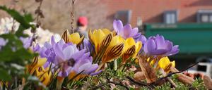 Während in Potsdam endlich der Frühling einkehrt, herrscht in der Ukraine bitterer Krieg.