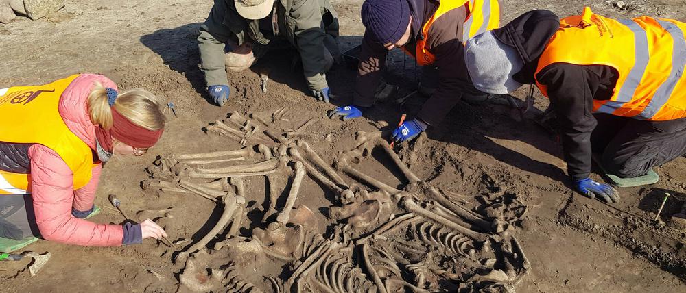 Den Fund machten die Experten schon vor einigen Wochen.