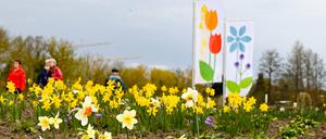 Erste Besucher spazieren zwischen Frühlingsblumen auf dem Gelände der Landesgartenschau.