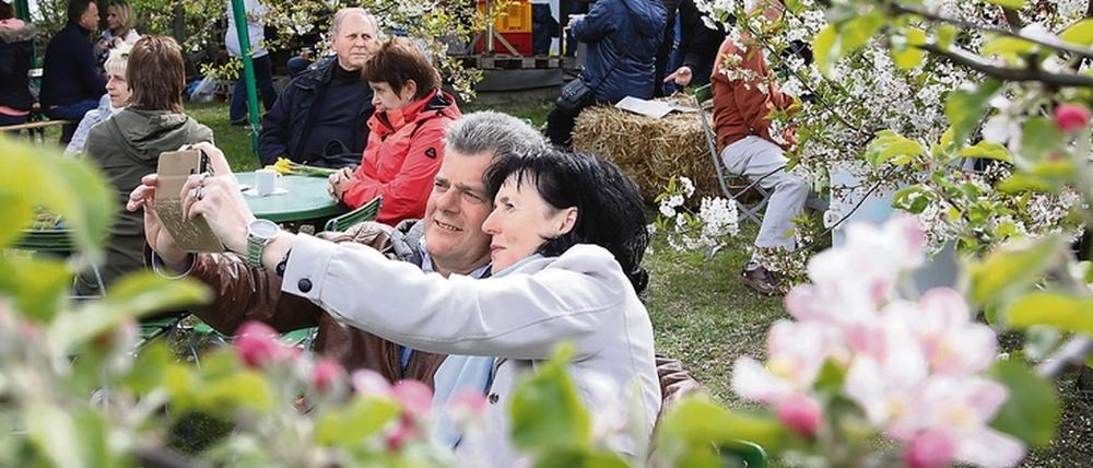 Ein Gläschen Obstwein in einem der vielen Gärten rund um Werder (Havel) wie hier 2017 ist auch in diesem Jahr möglich.