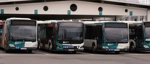 Künftig sind mehr Busse in Potsdams Norden unterwegs.
