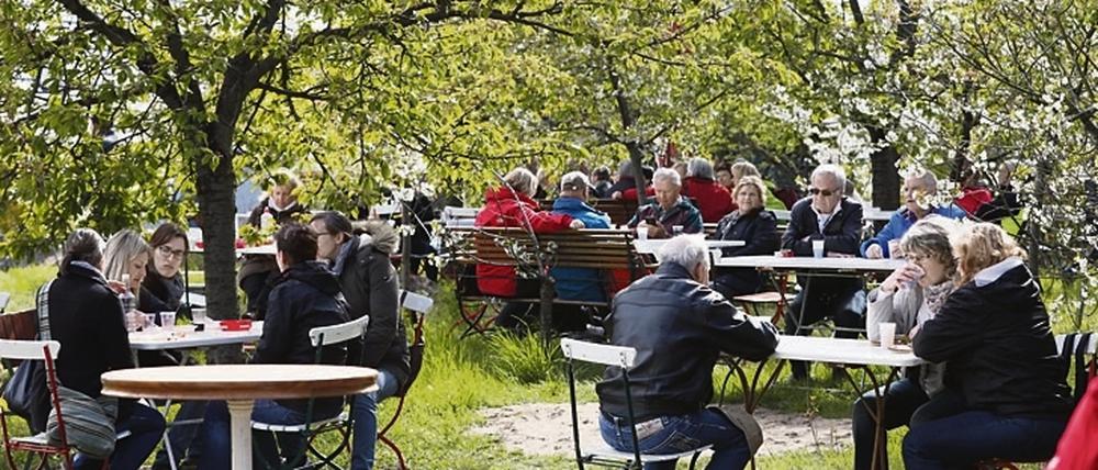 Besucher beim Baumblütenfest in Werder (Havel), Archivfoto.