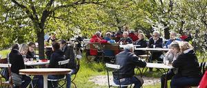 Besucher beim Baumblütenfest in Werder (Havel), Archivfoto.