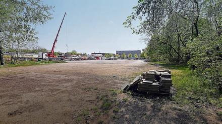 So leer wird das Areal vor dem Filmpark künftig nicht mehr aussehen.