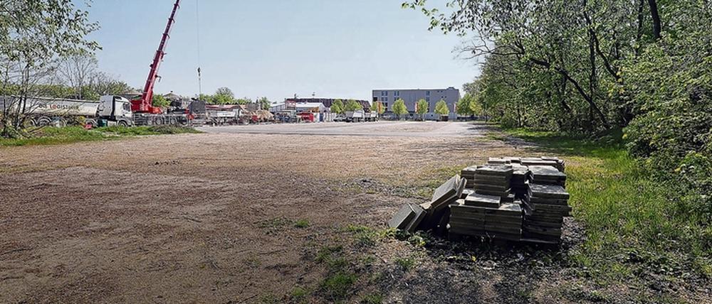 So leer wird das Areal vor dem Filmpark künftig nicht mehr aussehen.