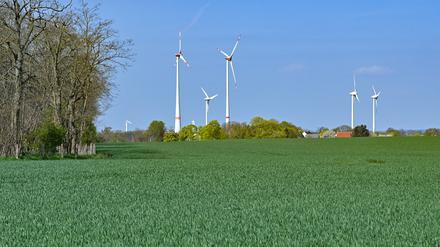 Windräder im brandenburgischen Mallnow (Märkisch-Oderland).