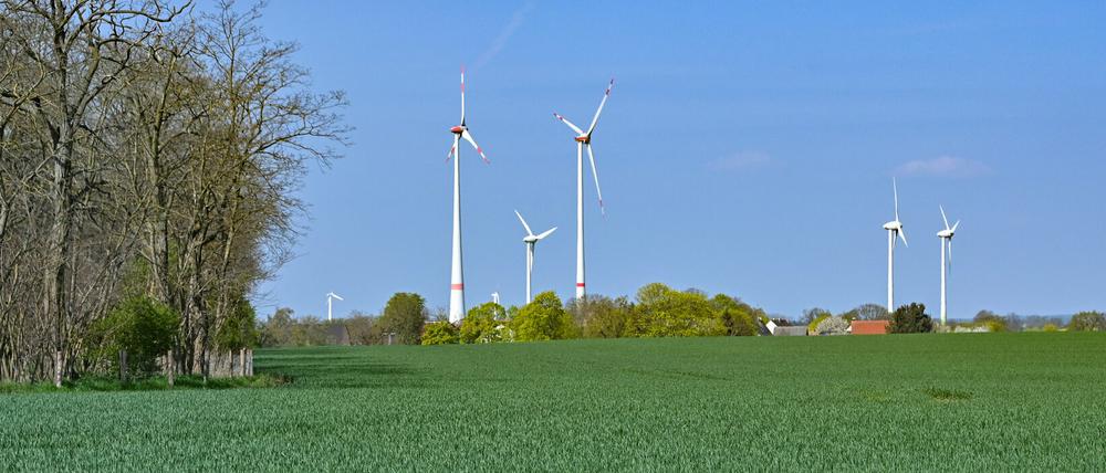 Windräder im brandenburgischen Mallnow (Märkisch-Oderland).