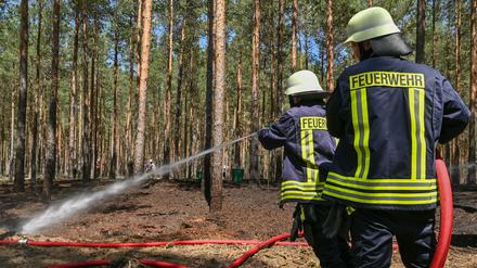 Brandenburg ist Jahr für Jahr besonders stark von Waldbränden betroffen (Archivbild).