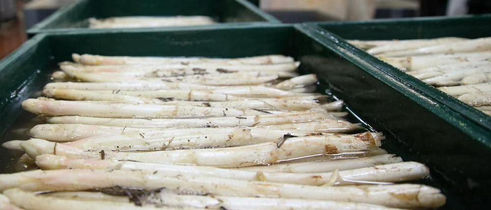 Auch auf dem Spargel- und Erlebnishof Klaistow sind die Folgen der teuren Produktionskosten zu spüren. 