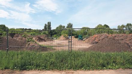 Option für Sportplätze? Am Rand der Waldstadt befindet sich die Kulturbodendeponie.