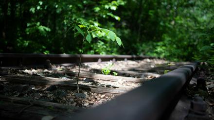 Die Potsdamer Stammbahn wurde nach Zerstörungen im Zweiten Weltkrieg nicht mehr vollständig in Betrieb genommen.