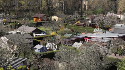 Der Dachverband VGS vertritt rund 5800 Kleingartenparzellen in Potsdam und Potsdam-Mittelmark. 
