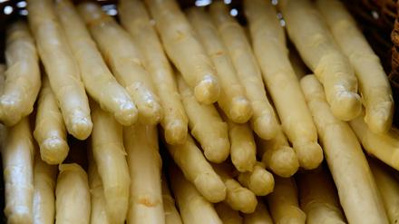 In Brandenburg wächst auf fast 3900 Hektar Spargel.