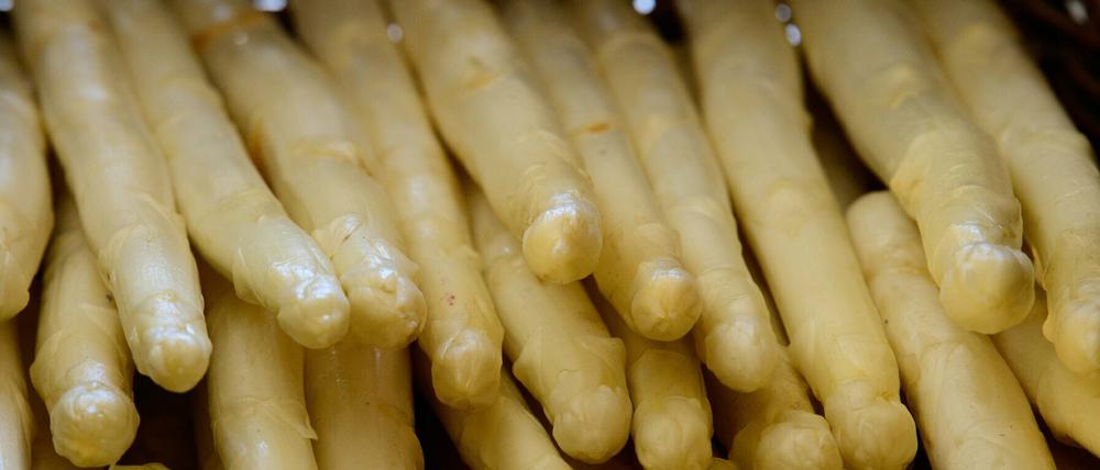 In Brandenburg wächst auf fast 3900 Hektar Spargel.
