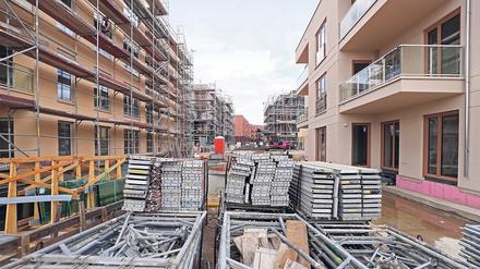 1645 Wohnungen sind im vergangenen Jahr in der Landeshauptstadt gebaut worden. 