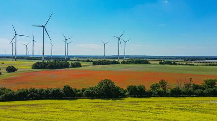 Windräder im brandenburgischen Biegen.