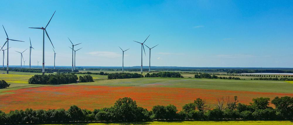 Windräder im brandenburgischen Biegen.