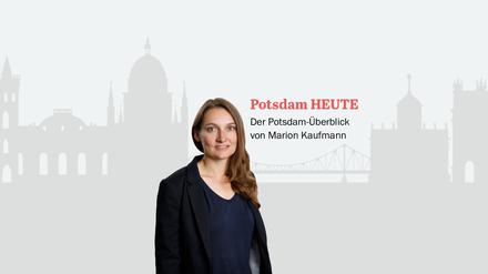 Der PNN-Newsletter - heute von Marion Kaufmann.